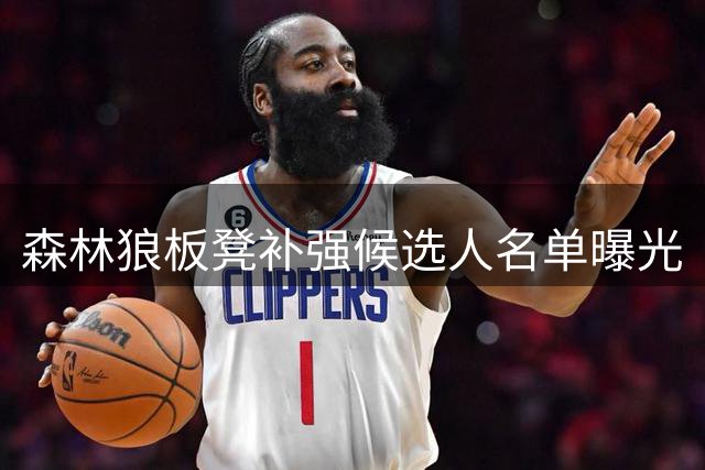森林狼板凳补强候选人名单曝光
